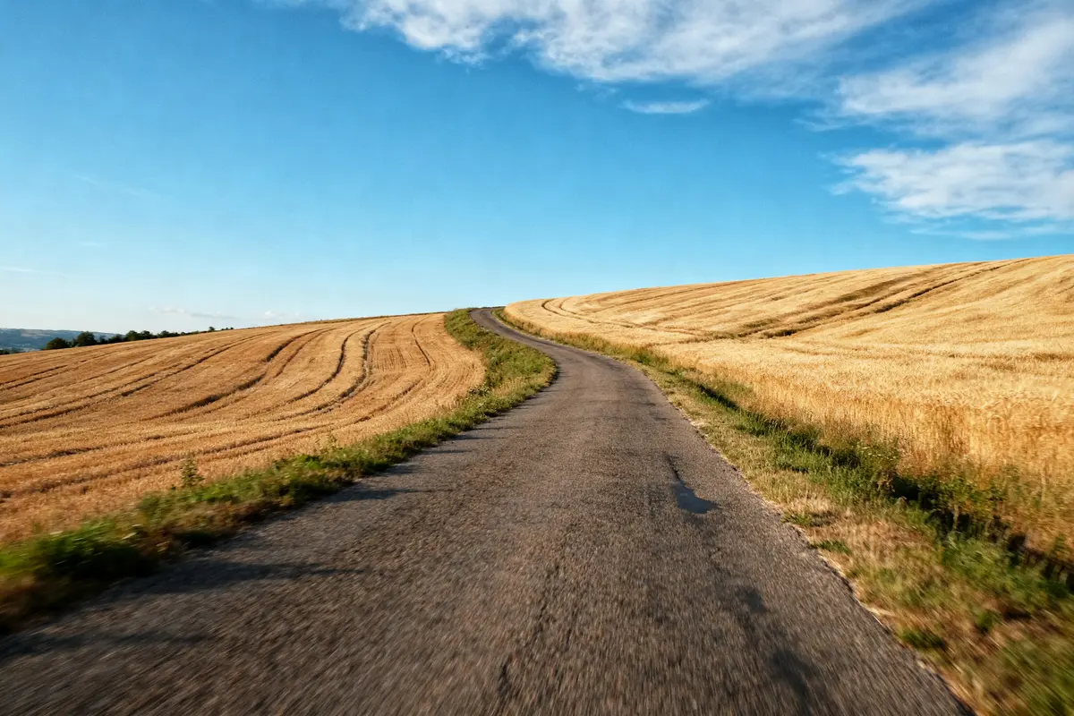 Route sinueuse traversant champs dorés sous ciel bleu avec quelques nuages. Paysage rural apaisant et lumineux.