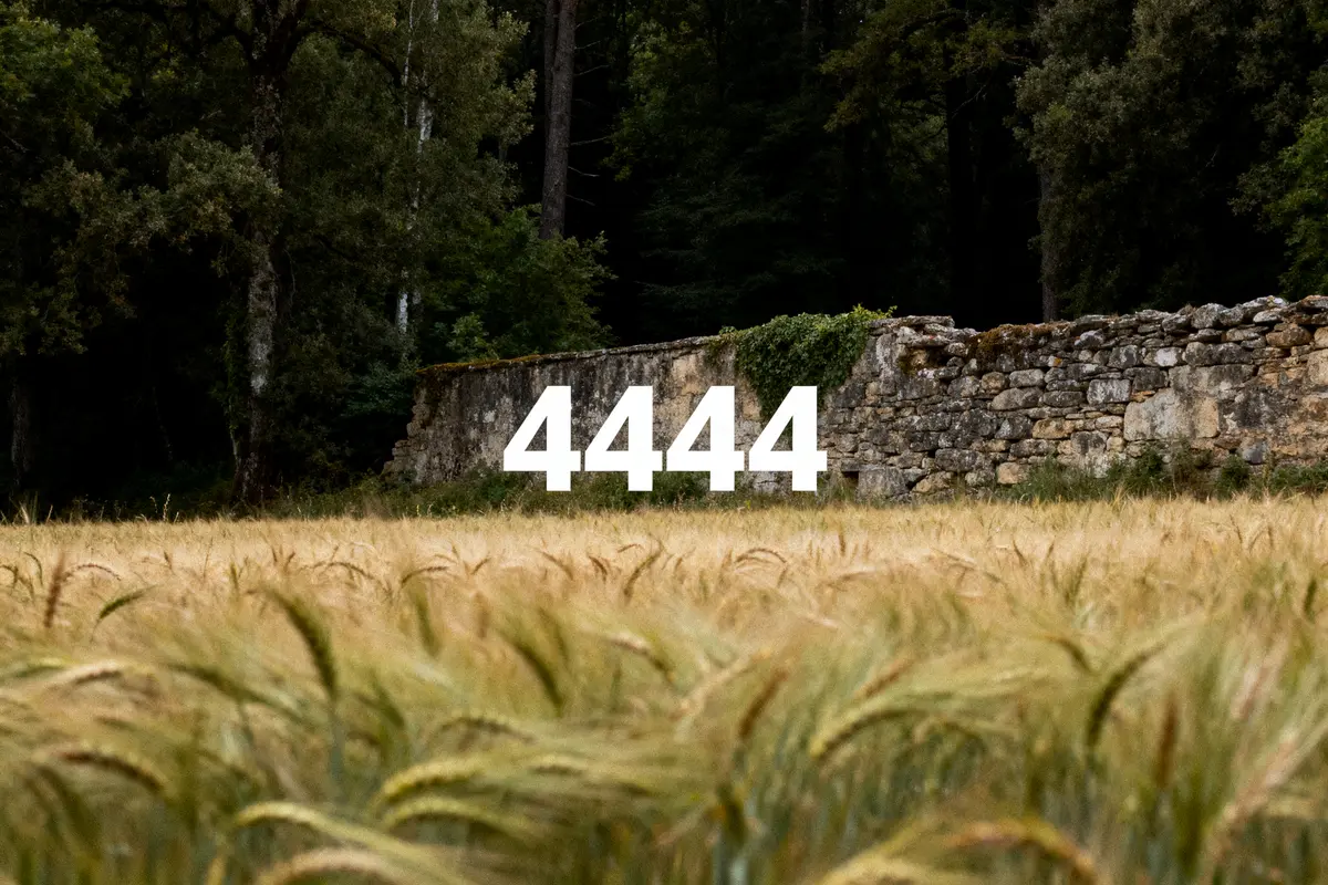 Un champ de céréales devant un mur de pierre avec le numéro 4444 au centre.