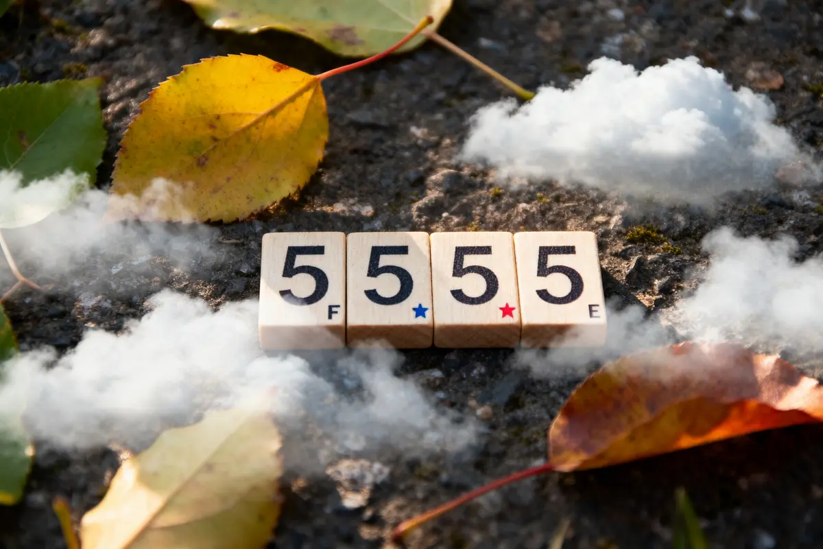 Quatre blocs avec chiffre 5, feuilles d'automne, nuages blancs sur sol sombre.